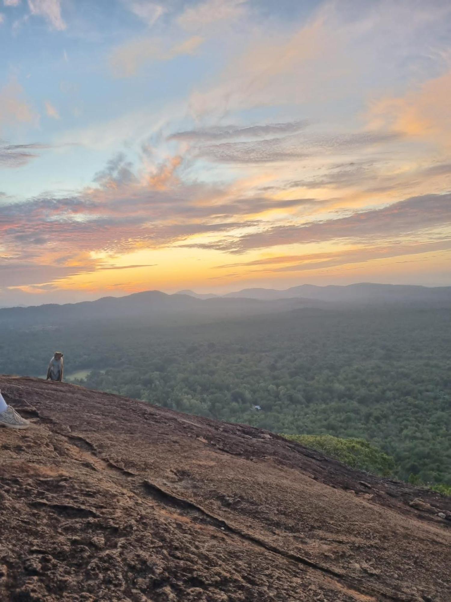 Sunrise Cottage Sigiriya Eksteriør billede