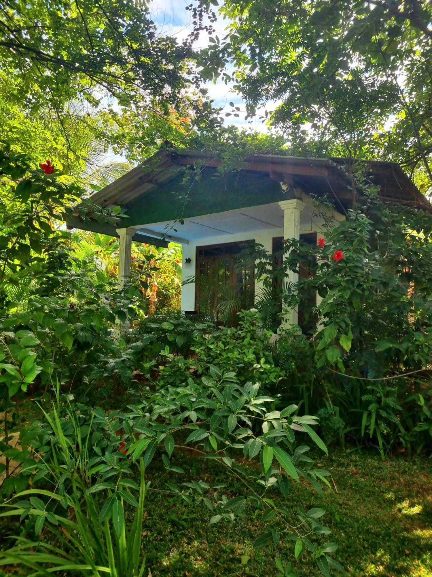 Sunrise Cottage Sigiriya Eksteriør billede